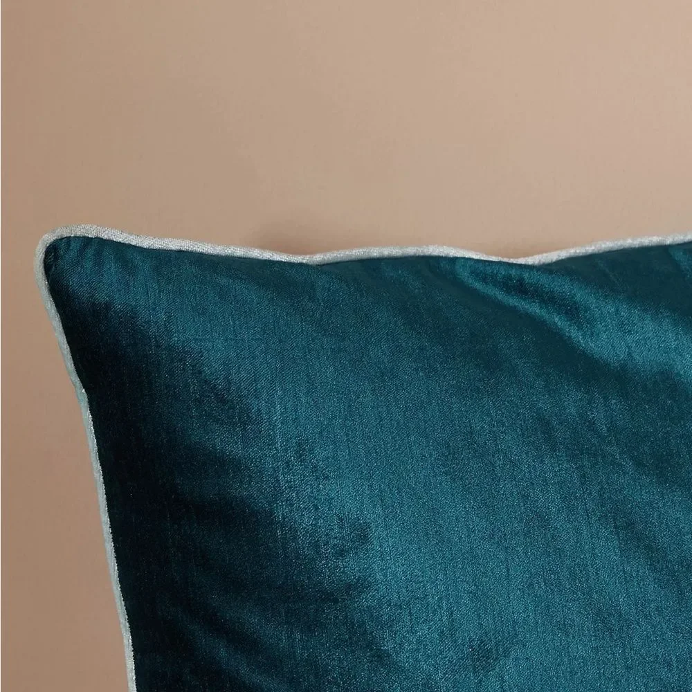 New Anthropologie Adelina Velvet Pillow One Size